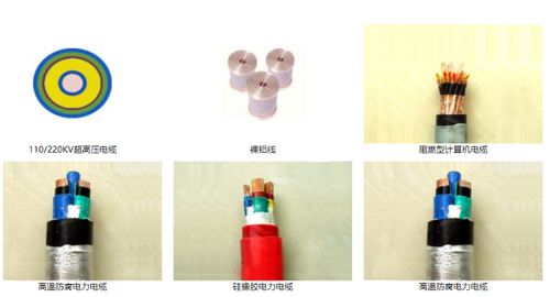 山東智造 綠色創(chuàng)新驚艷全球，環(huán)保產(chǎn)品引領(lǐng)未來(lái)市場(chǎng)